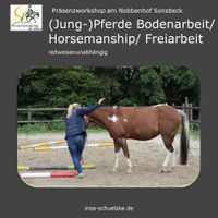 Bodenarbeit / Horsemanship / Freiarbeit  Kurs 24.08.2024 Nordrhein-Westfalen - Sonsbeck Vorschau