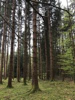Waldgrundstück Wald Bayern - Bad Tölz Vorschau