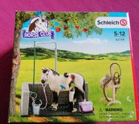 Putzstelle von Schleich incl. Pferd Sachsen - Radeberg Vorschau