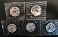 5 x 10 DM Silbermünze 50 Jahre Grundgesetz 1999 ADFGJ ganzer Satz Bayern - Eichstätt Vorschau