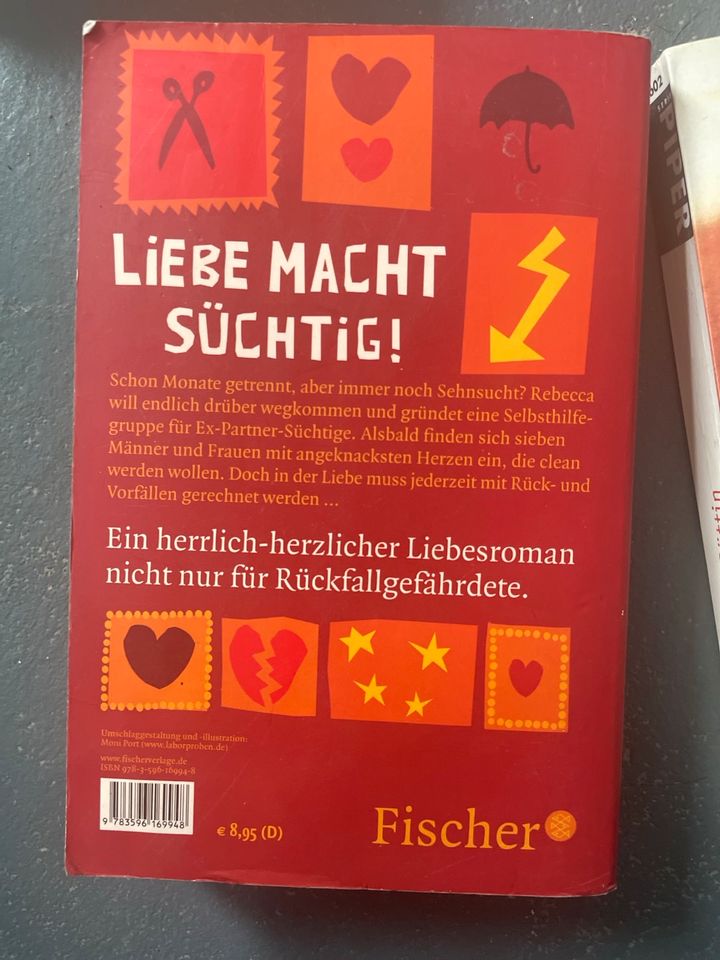 Fontane Piper Bücher Romane Bestseller Buch Taschenbücher in Kassel