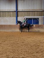 mobiler Beritt & Reitunterricht Rheinland-Pfalz - Stadecken-Elsheim Vorschau