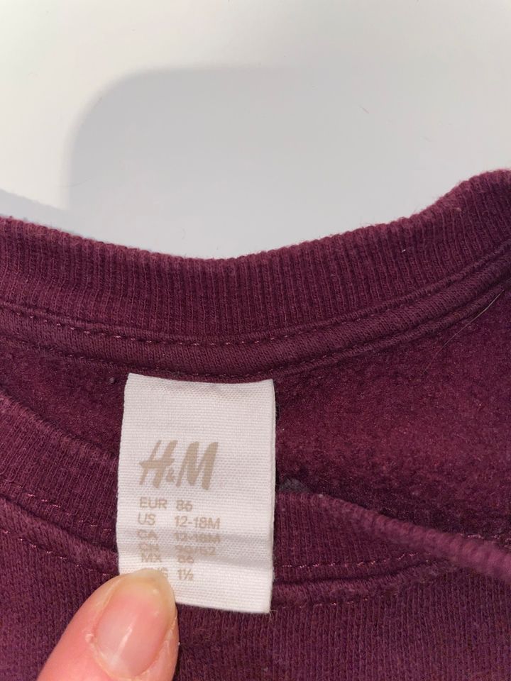 H&M Pullover gr 86 Hase Mädchen in Hannover