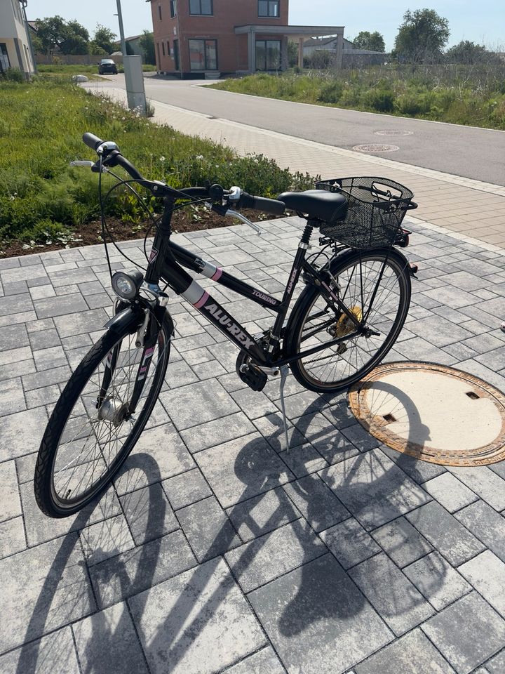 Damen Fahrrad in Dietfurt an der Altmühl