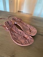 Ipanema Sandalen Zehentrenner rosa Nürnberg (Mittelfr) - Gebersdorf Vorschau