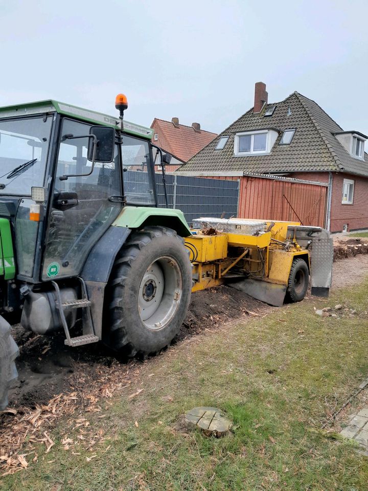 Stubbenfräsen Wurzelfräsen in Hammah