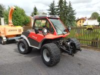 Reform Metrac H7x,Aebi,Mähtraktor,Steilhangmäher,Sauerburger,Sola Sachsen-Anhalt - Kretzschau Vorschau