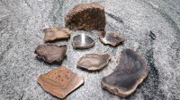 Versteinertes Holz / Mineralien Baden-Württemberg - Spechbach Vorschau