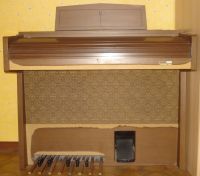 Orgel GEM Wizard 330L Hessen - Gernsheim  Vorschau