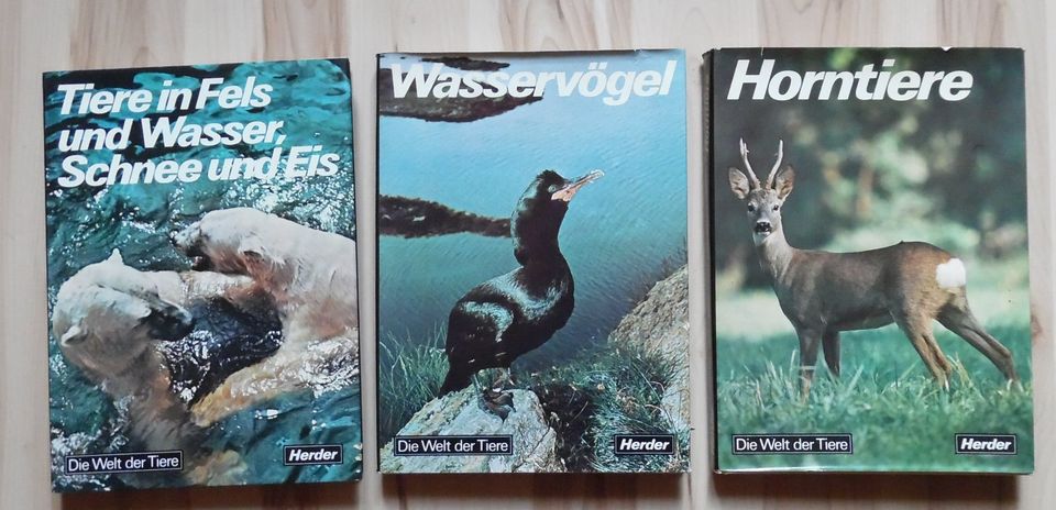 Buch Tiere - Wasser Vögel, Horntiere, Fels Schnee + Eis, Eisbär in Verden