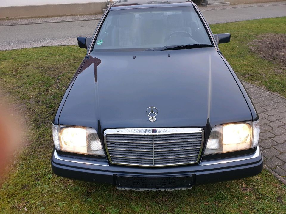 Mercedes 220CE in Schinne