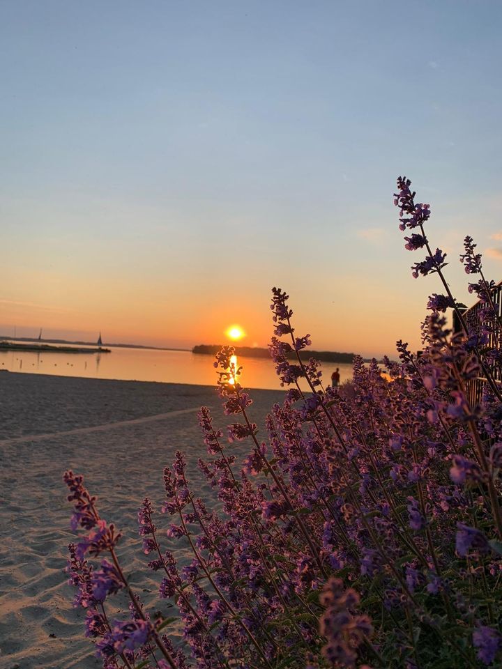 Traum Ferienhaus Strand Holland Veluwe Meer + Hund ** in Wuppertal