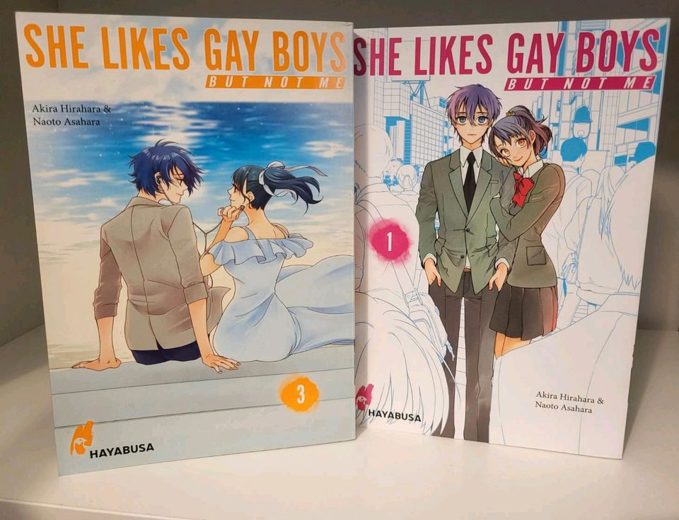 She Likes Gay Boys, but not me Manga Band 1 & 3 in Düsseldorf