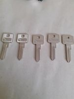 5 Schlüsselrohlinge  für Haus Tür Abus 95 .Neue Niedersachsen - Visselhövede Vorschau