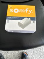 Somfy - Thermostat Hessen - Friedrichsdorf Vorschau