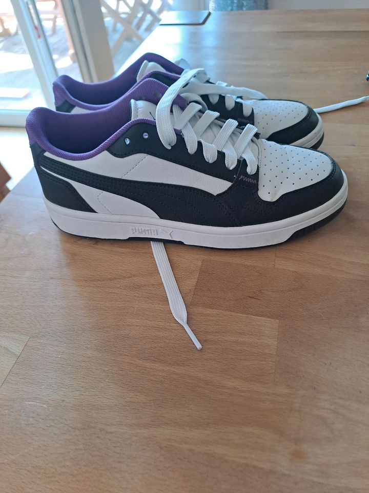 Puma Schuhe Gr 37 in Postau