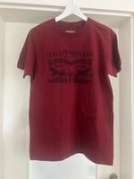 Herren T Shirt Hessen - Offenbach Vorschau