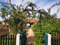 Kleingarten zur Pacht Thüringen - Altenburg Vorschau