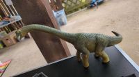 Schleich Dino Brachiosaurus Schleswig-Holstein - Lütjensee Vorschau