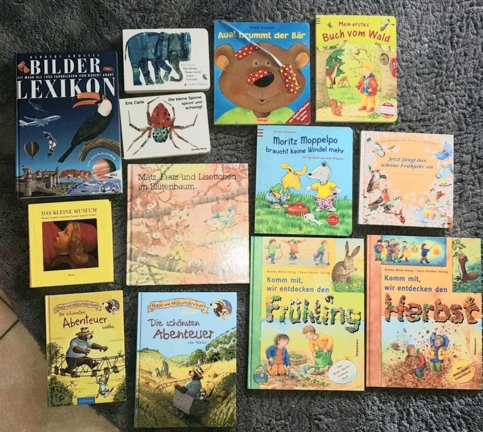 121 Bilderbücher Kinderbücher Sammlung in Sandhausen