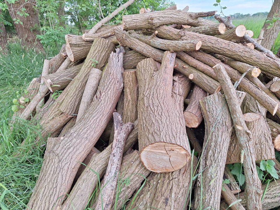 Stammholz, Feuerholz, Brennholz, Restholz Mischholz in Jade