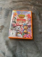 Paw Patrol DVD Roar to the Rescue Herzogtum Lauenburg - Ratzeburg Vorschau