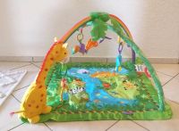 Fisher Price Rainforest Spielebogen Bayern - Reckendorf Vorschau