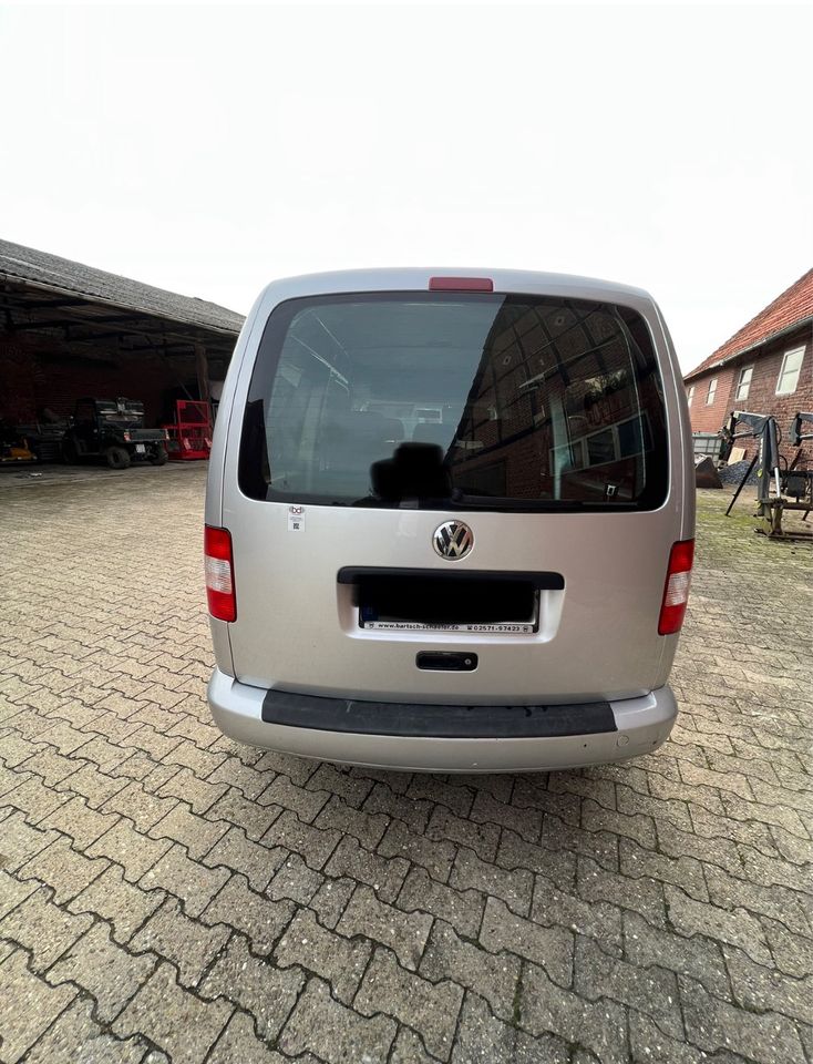 VW Caddy Maxi in Greven