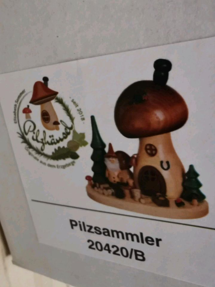 Original Erzgebirge Räuchermann Pilzhäuschen mit Pilzsammler in Waldenburg