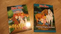 2 Bücher "Bibi & Tina" Nordrhein-Westfalen - Hopsten Vorschau