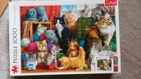 Puzzle für Katzenliebhaber 1000 Bayern - Kellmünz an der Iller Vorschau