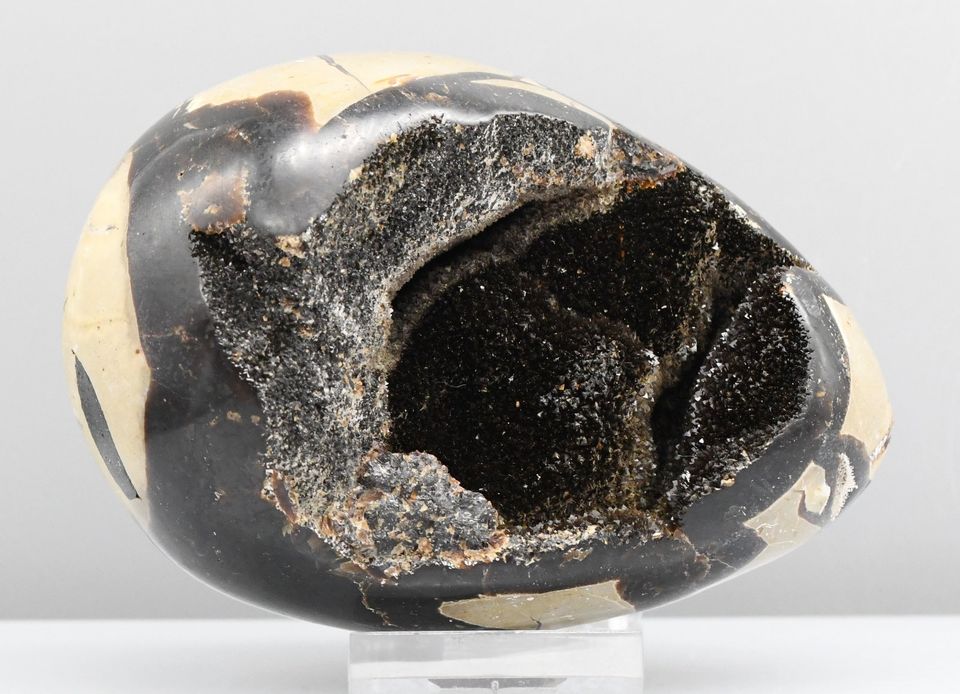 Mineralien Edelstein – SEPTARIEN Ei kristallisiert m Ständer 782g in Rochlitz
