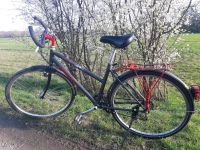 Alurad Fahrrad Kettler 28 zoll Frankfurt am Main - Rödelheim Vorschau