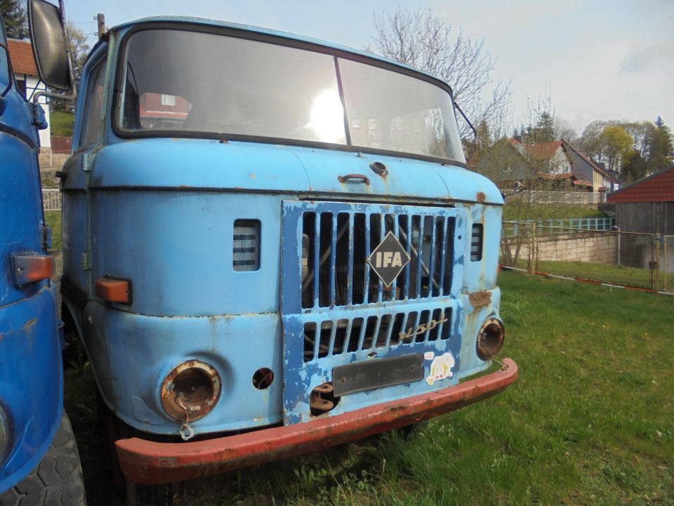 Ifa W50, Kipper, Allrad in Tanne