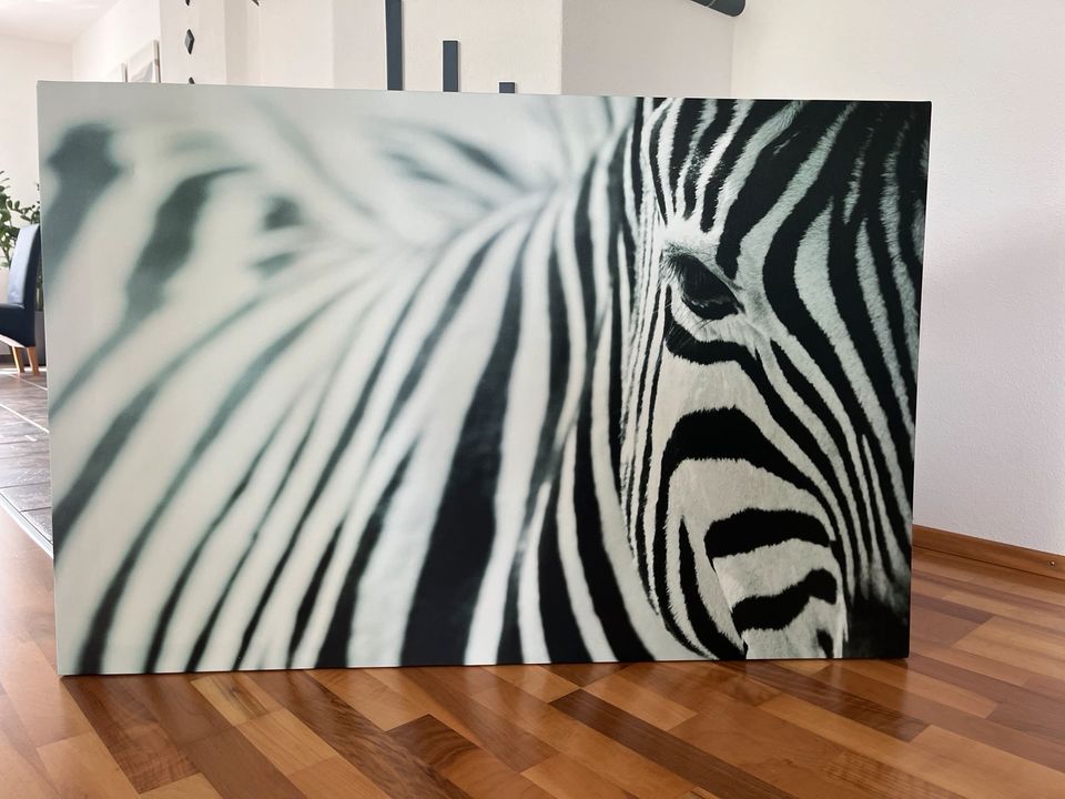 Bild, Motiv Zebra, Ikea 78x118cm in Baar-Ebenhausen