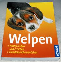 Hunde Welpen richtig halten und erziehen Bayern - Kempten Vorschau