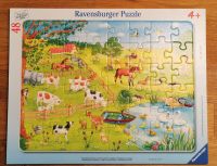 Ravensburger Puzzle 48 Teile (Kinder 4+) Nordrhein-Westfalen - Bönen Vorschau