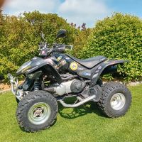 Kymco Maxxer 250 Quad mit diversen  Zubehör Schleswig-Holstein - Wiemersdorf Vorschau