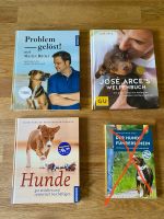 Schönes Buchpaket Hunde, Martin Rütter, José Arce Rheinland-Pfalz - Nassau Vorschau