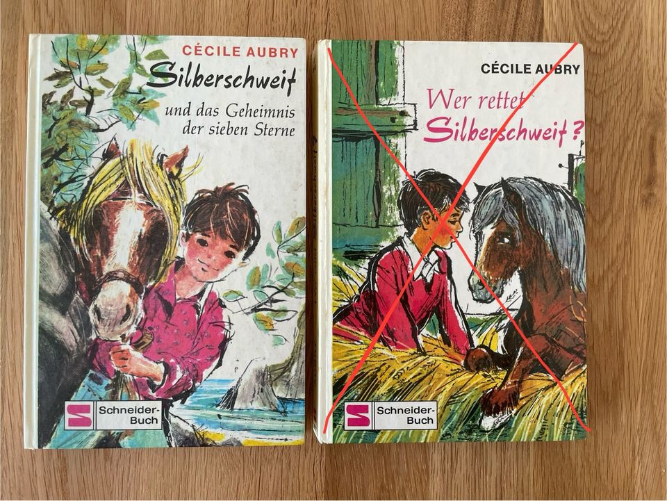 Hanni und Nanni | Tina und Tini | Silberschweif | Kinderbücher in Albachten