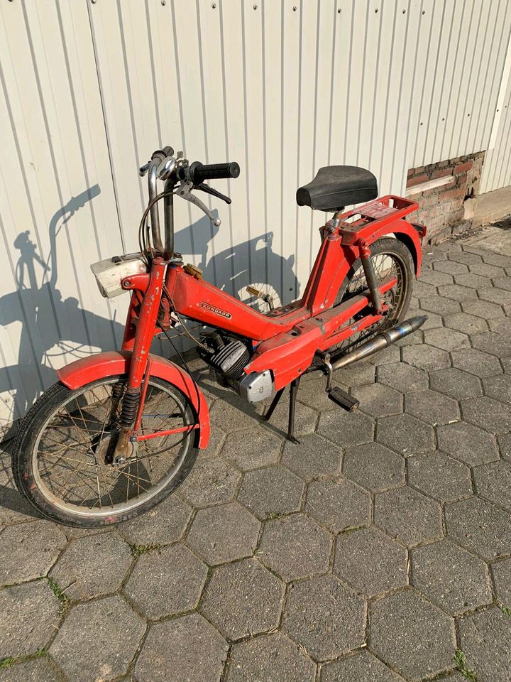 Suche Zündapp Hercules Kreidler Nsu Dkw Puch Mofa Moped in Iserlohn