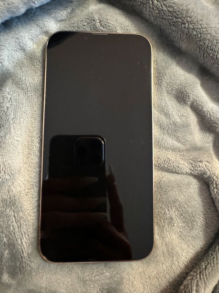 iPhone 13 Pro Max Gold 256GB in Emmendingen