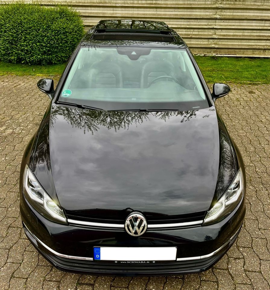 VW Golf VII 1.5 TSI Highline, LED, ACC, Panorama, Leder in Wilhelmshaven