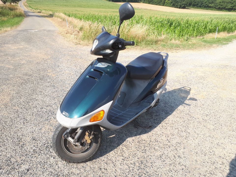 Suche Honda Bali SJ 50 AF 32 in Zellingen