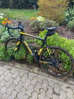 Reven Bike Rennrad Carbon Campagnolo Saarland - Friedrichsthal Vorschau