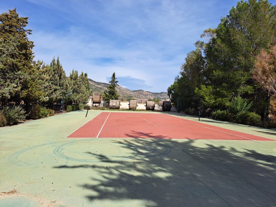 Luxuriöses Landhaus in Salinas (Alicante) mit 3 Wohnzimmern und 6 Schlafzimmern, Pool mit Jacuzzi, Tennisplatz und Garage, nur 40 Minuten vom Strand, Costa Blanca / Spanien in Oyten