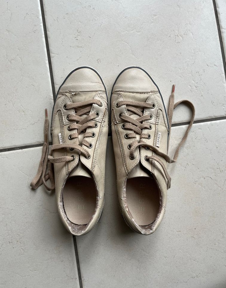 Sneaker Esprit, beige, Gr. 40 in Hohen Neuendorf