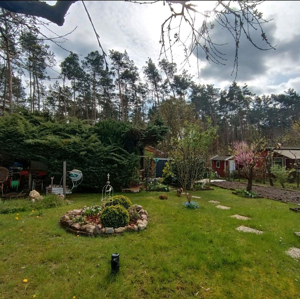 Gartengrundstück Baugrundstück Kleingarten Erholungsgrundstück in Friedensstr., 15328 Küstriner Vorland(58km von Berliner Stadtgrenze) in Küstriner Vorland