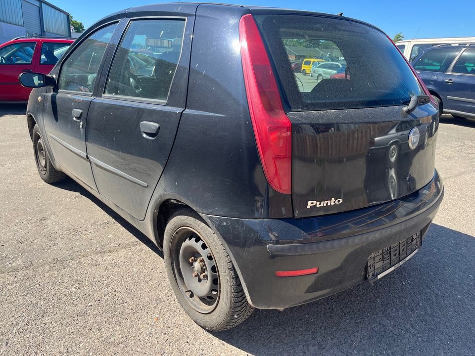 Fiat Punto 188 4-Türer|Klimaanlage|8xBereift in Neumünster