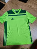 Adidas T-Shirt grün 164  Sportshirt Shirt Trainingsshirt Niedersachsen - Seevetal Vorschau
